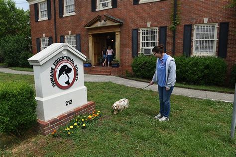 Chattanooga humane society - Nov 14, 2019 · After years of providing animal services to Hamilton County from a 100-year-old building, the Humane Educational Society of Chattanooga (HES) celebrated the groundbreaking for their new, long ...